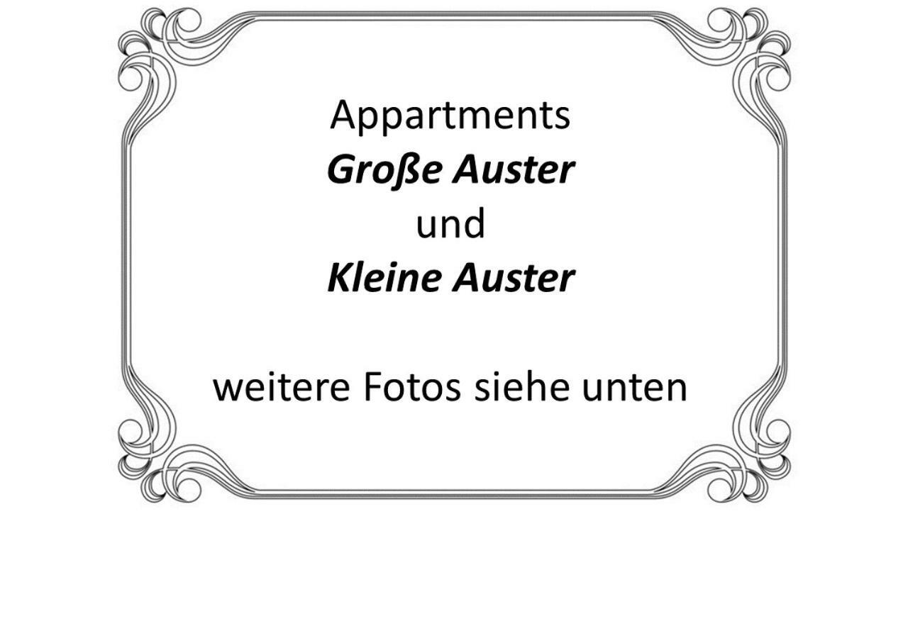 Auster-Appartements Saarbrücken Eksteriør billede